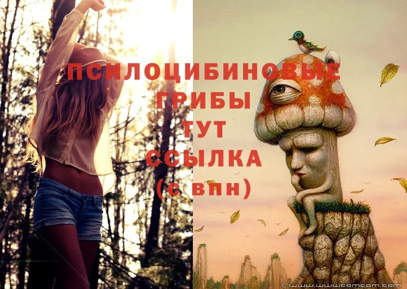 Псилоцибиновые грибы Magic Shrooms  дарк нет формула  МЕГА ТОР  Буйнакск  купить  цена 